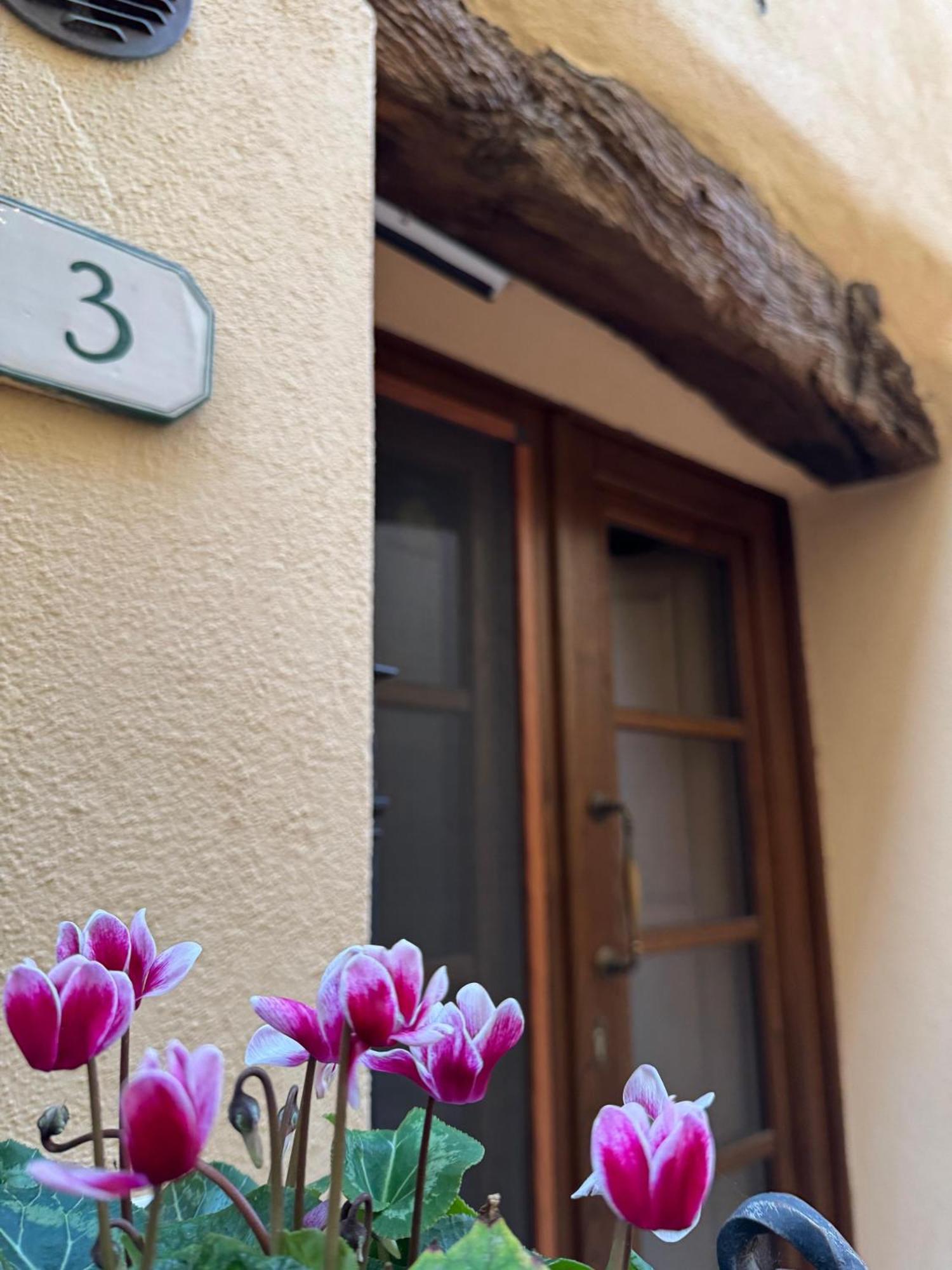 Camere La Carbonaia Pienza Dış mekan fotoğraf